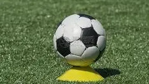 墨西哥豪取16胜12负！全面突破短板，战队全力开疆拓土！