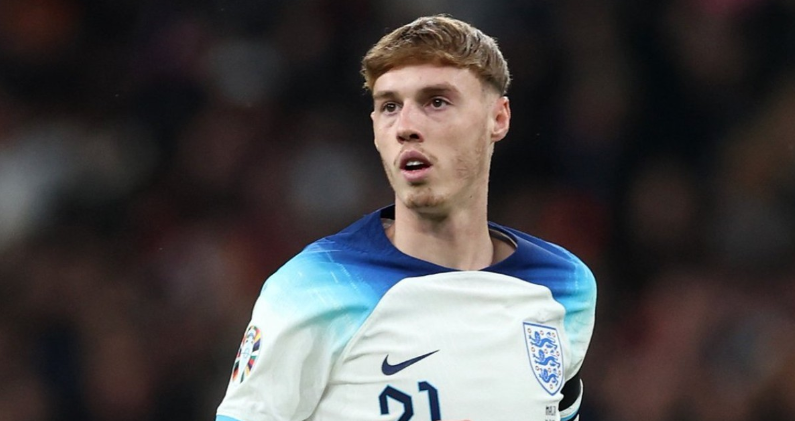 多项活动 多项活动