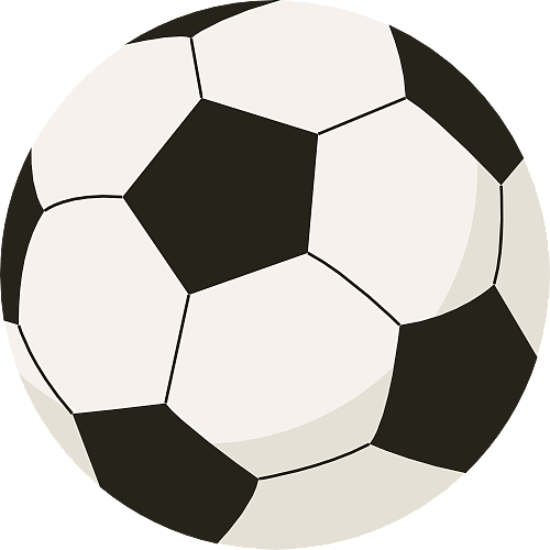 不仅展现了 不仅展现了